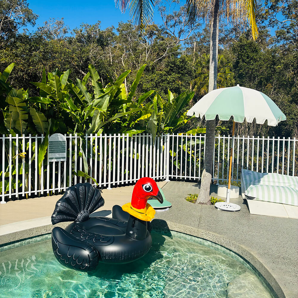Inflatable Turkey